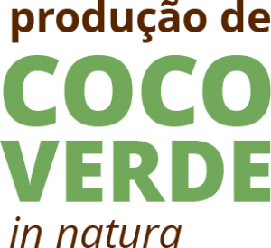 produção-coco-titulo